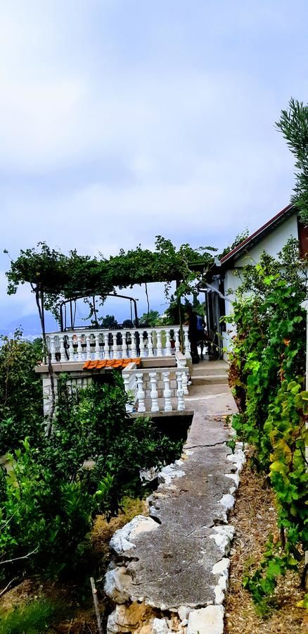 Апартаменты Apartments Dragišić Свети-Стефан-24