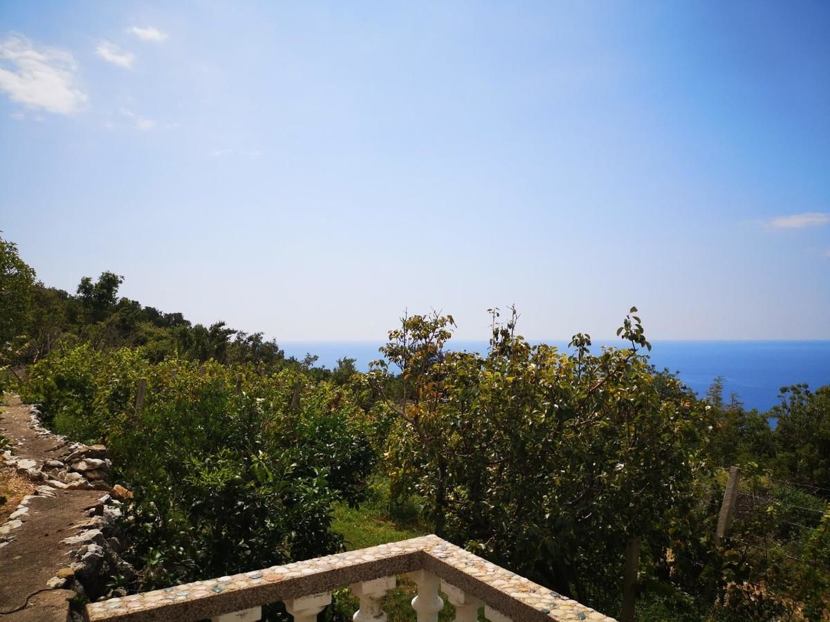 Апартаменты Apartments Dragišić Свети-Стефан-25