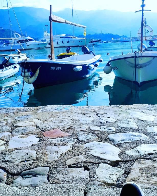 Апартаменты Apartments Dragišić Свети-Стефан