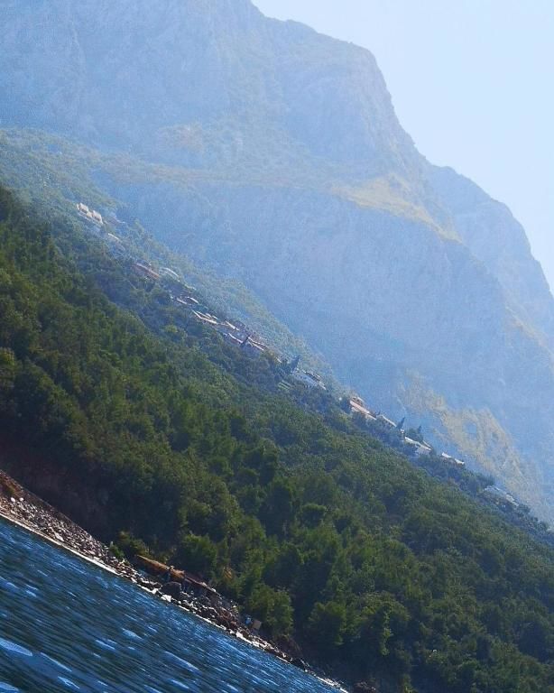 Апартаменты Apartments Dragišić Свети-Стефан-72