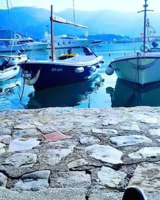 Апартаменты Apartments Dragišić Свети-Стефан Номер-студио с балконом (для 3 взрослых)-24