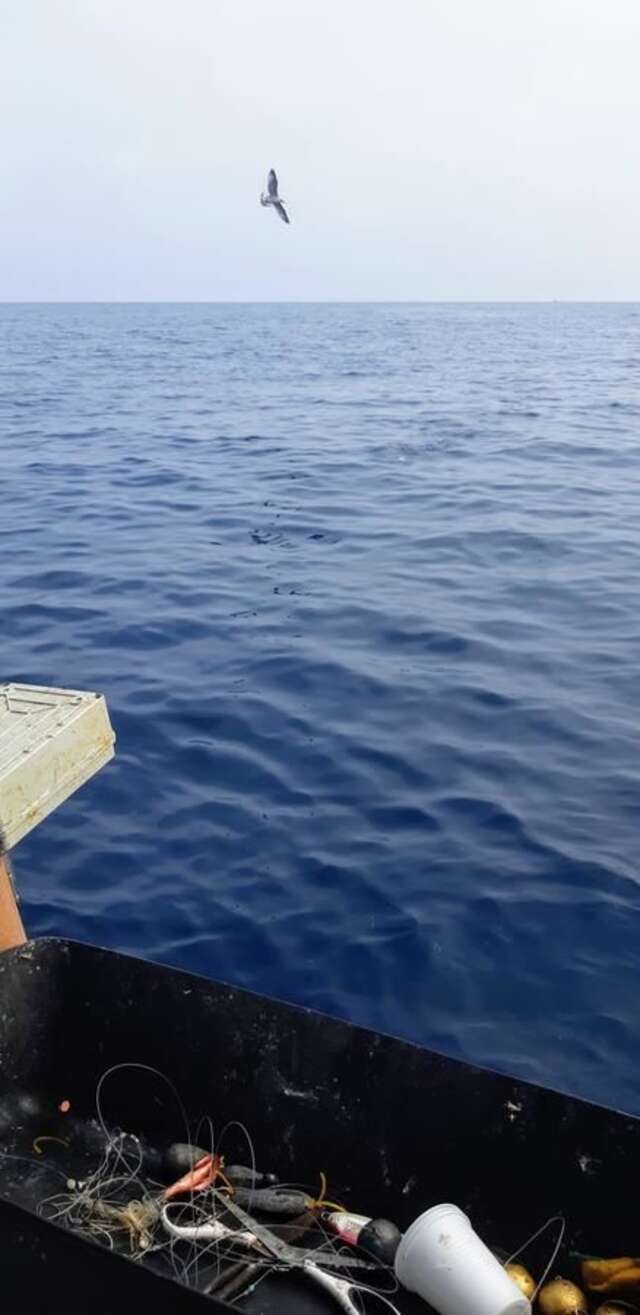 Апартаменты Apartments Dragišić Свети-Стефан-15