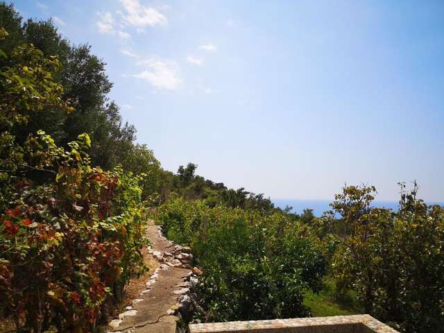 Апартаменты Apartments Dragišić Свети-Стефан-25